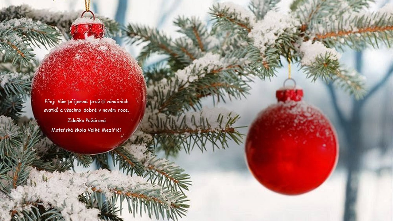 Př&aacute;n&iacute; 2025